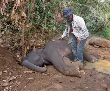 蕢牡倀赊仮魅矿蝽管209394848